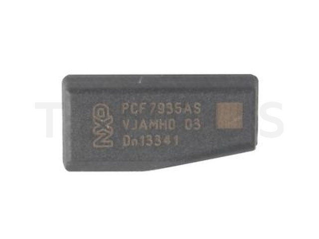 TP09 ID 40 12339