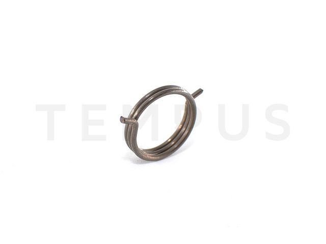 DB RENAULT 006 - RENAULT CLIO 3 opruga kontakta 19847