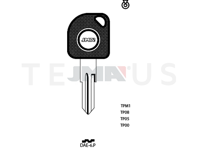 TP00DAE-6.P (Silca DWO6BT0 / Errebi T00DW3P) 13831